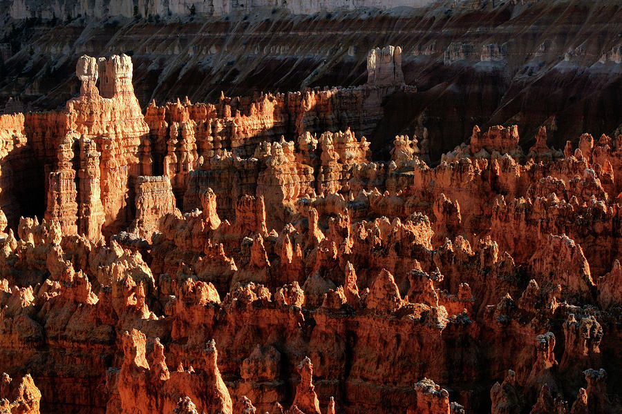 Sunset in Bryce Canyon 365-130 Photograph by Inge Riis McDonald