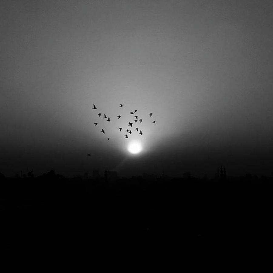 Blackandwhite Photograph - Sunset In B&w
burung Pun by Ahmad Hakiki