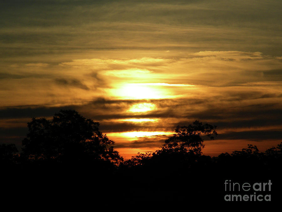 Sunset In Carolina Photograph by Matthew Seufer