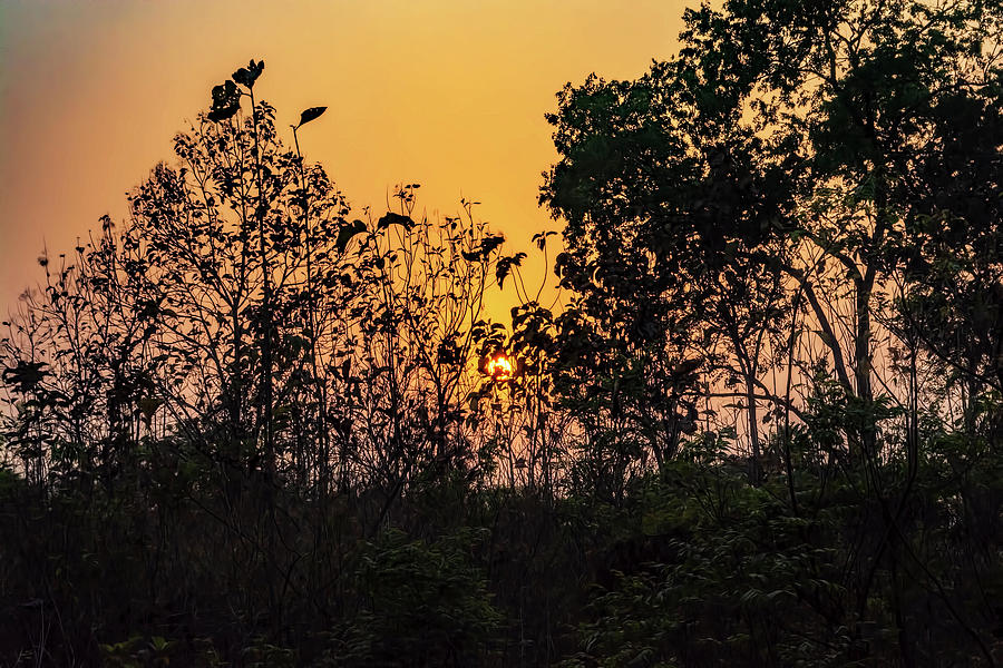 Sunset in Chitwan Photograph by Maria Coulson