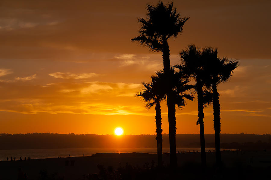 Sunset in Coronado San Diego Photograph by Roberta Kayne