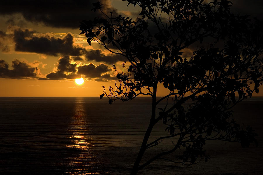 Sunset in Costa Rica Photograph by Vanessa D -