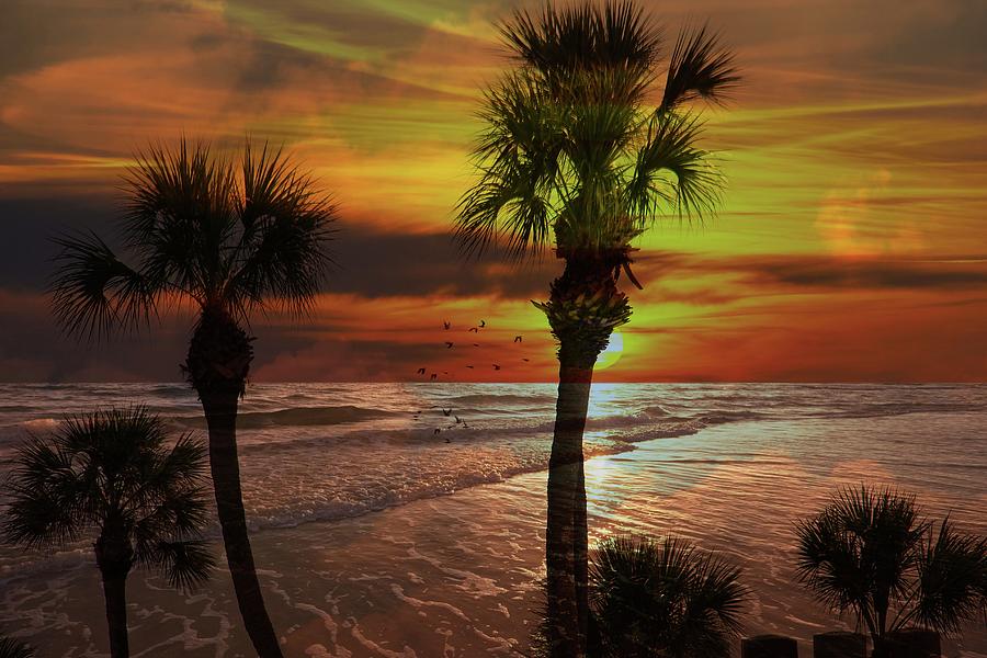 Sunset in florida Photograph by Athala Bruckner