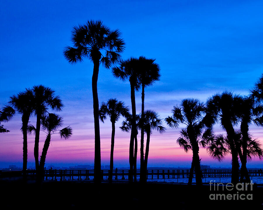 Sunset in Florida Photograph by Stephen Whalen