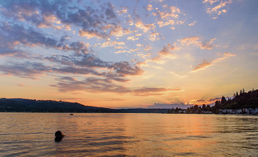 Sunset in Lake Sammamish Digital Art by Michael Lee