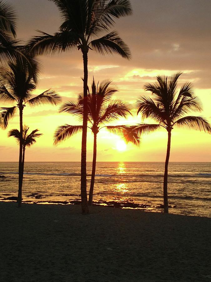 Sunset in Maui Photograph by Nicki Clark