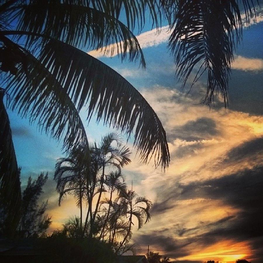 Sunset Photograph - Sunset In Miramar Florida Today: by Elton  Hazel