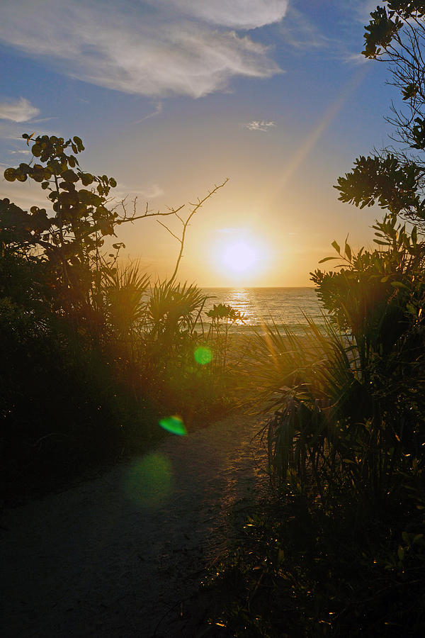 Sunset in Naples at Barefoot Beach by Robb Stan Sunset in Naples at Barefoot Beach by Robb Stan