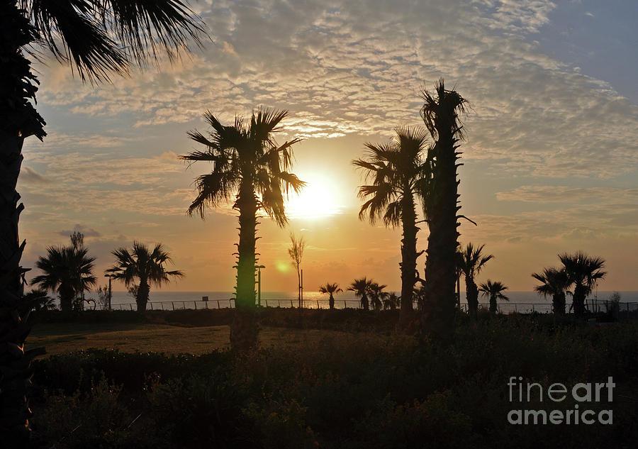 Sunset Photograph - Sunset In Netanya 3 by Lydia Holly