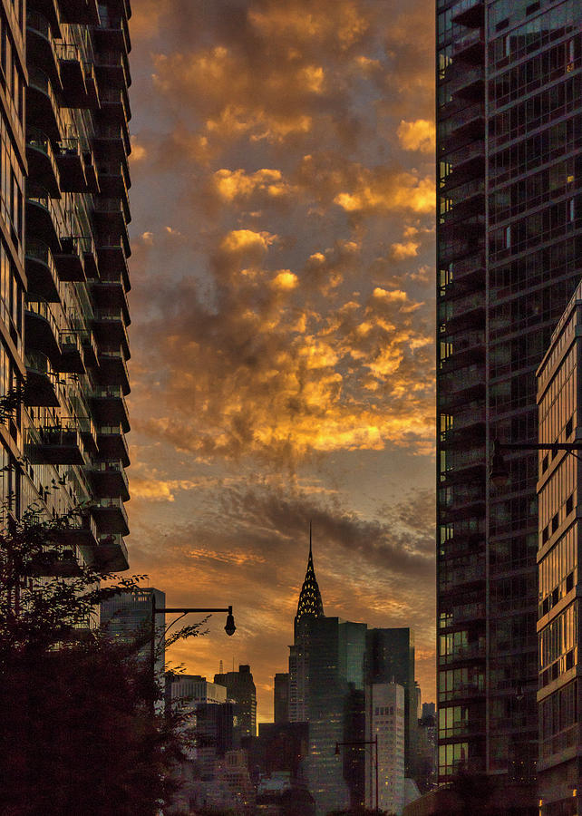 Sunset in NYC Photograph by Roni Chastain