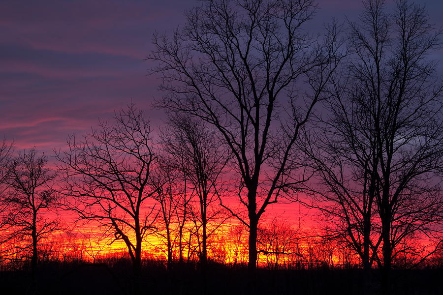 Nature Photograph - Sunset in Ohio by Amanda Kiplinger