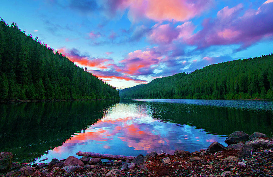 Sunset In Oregon Photograph by Kami McKeon