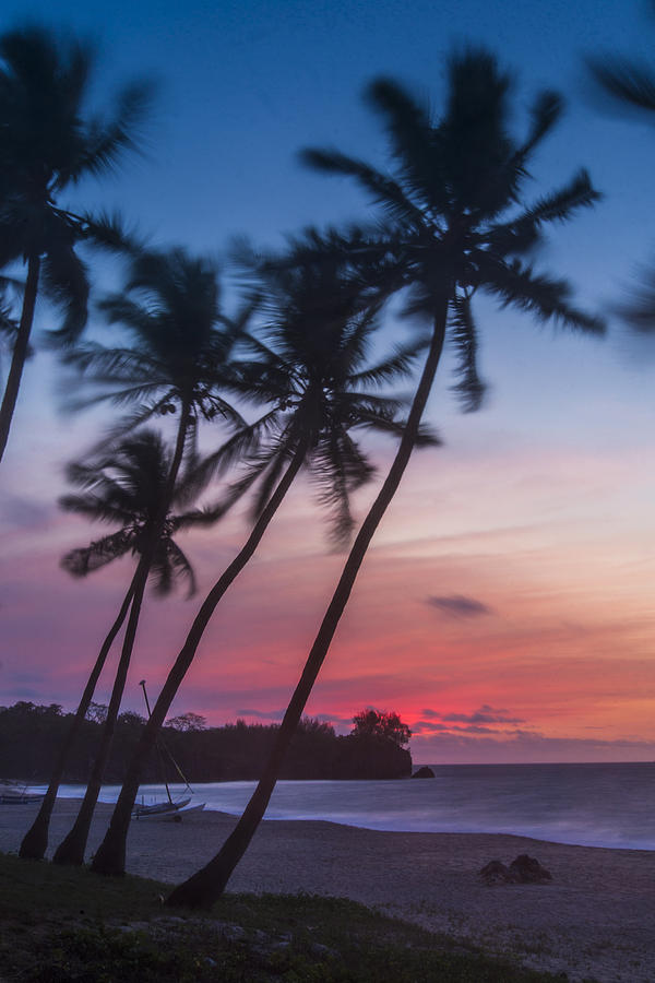 Sunset in Paradise Photograph by Alex Lapidus