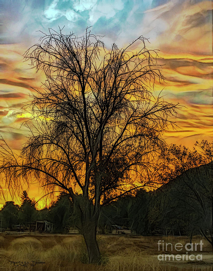 Sunset in Perris Digital Art by Rhonda Strickland