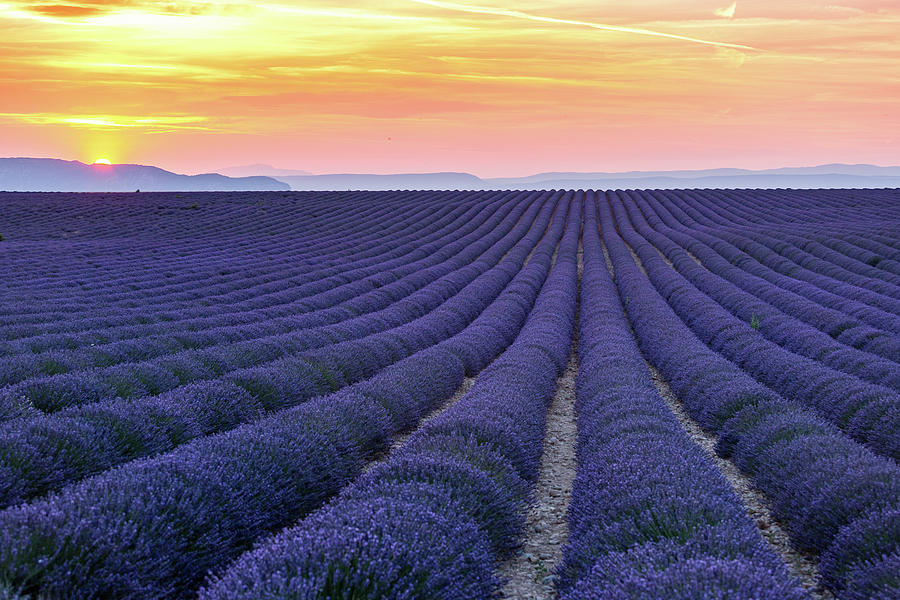 Sunset in Provence Photograph by Francesco Riccardo Iacomino Sunset in Provence Photograph by Francesco Riccardo Iacomino