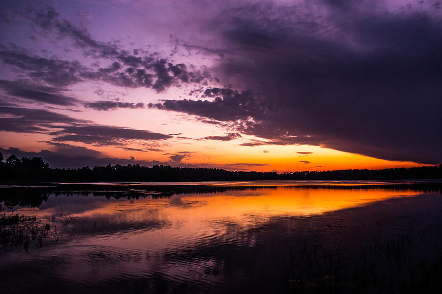 Sunset In Purple by Shelby Young