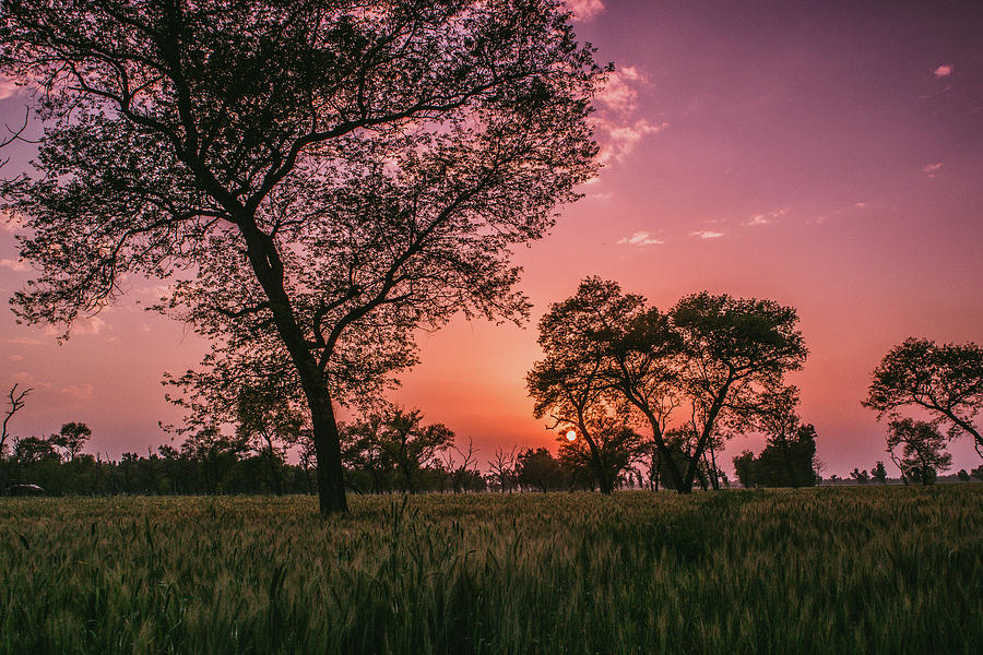 Sunset Photograph - sunset in rural India by Happy Home Artistry