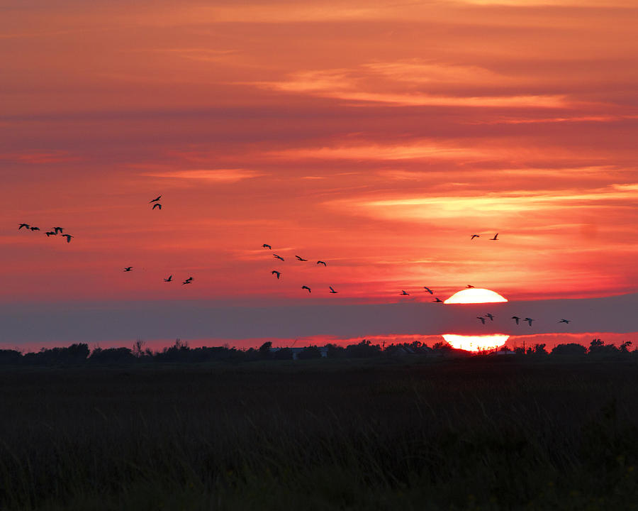 Sunset Photograph - Sunset in Sabine Pass Texas by TN Fairey