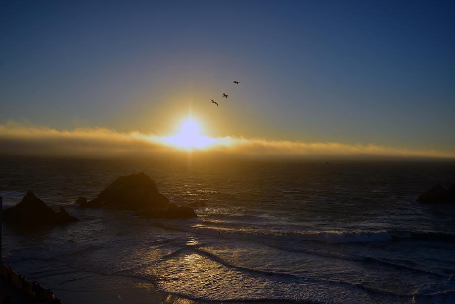 Sunset in San Francisco Photograph by Dragan Kudjerski