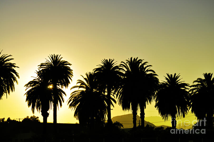Sunset In SoCal Photograph by Clayton Bruster