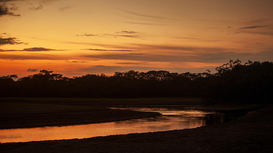 Sunset in the Amazon Photograph by Stephen Dennstedt