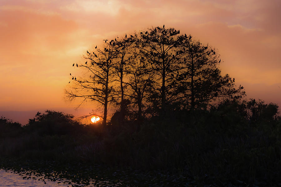 Sunset in the Everglades WMA Photograph by Joe Kopp