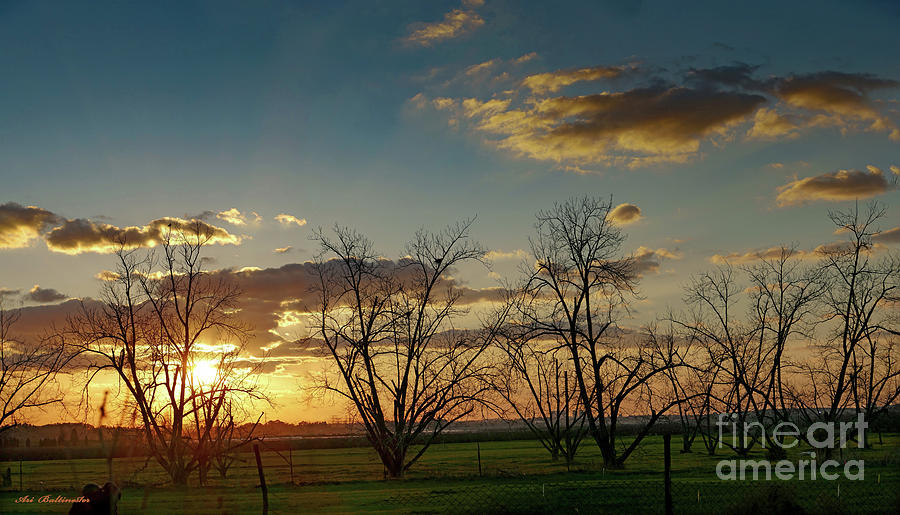 Sunset in the fields of Binyamina Photograph by Arik Baltinester
