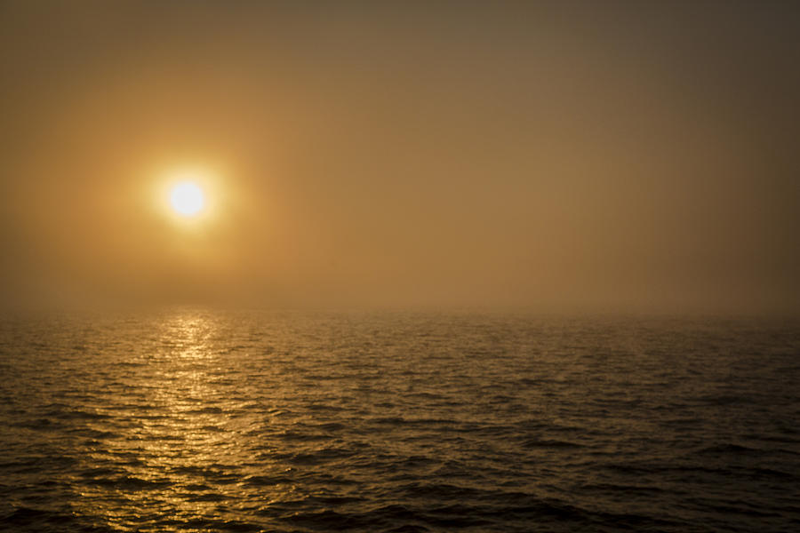 Sunset in the Fog Bank Photograph by Jack R Perry