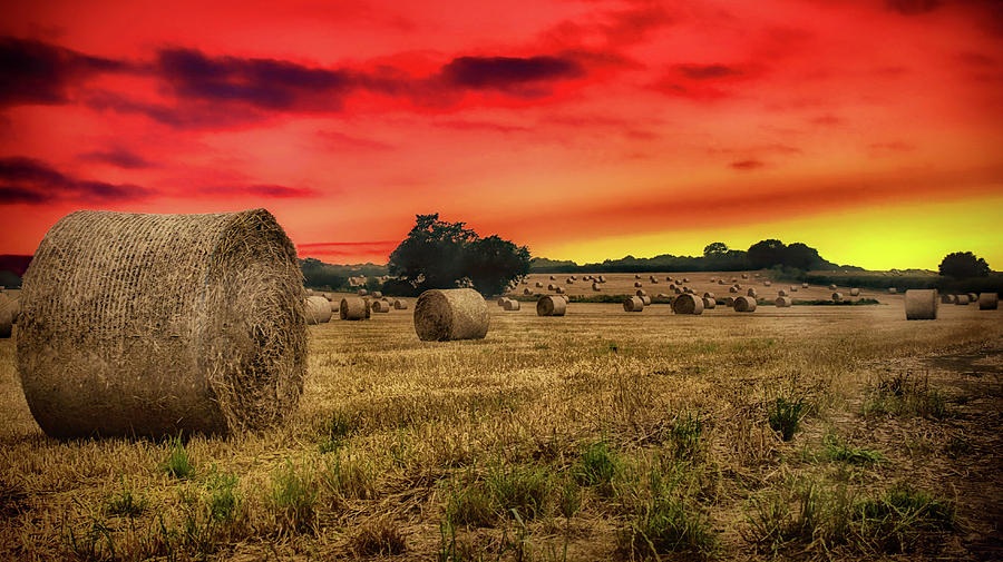 Sunset Photograph - Sunset in the Hay by Martin Newman