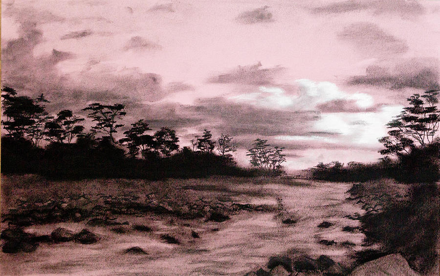 Sunset in Casanare Drawing by Jordan Henderson