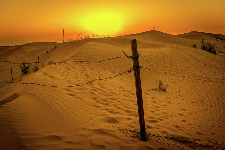 Sunset in the Sands Photograph by Andrew Matwijec