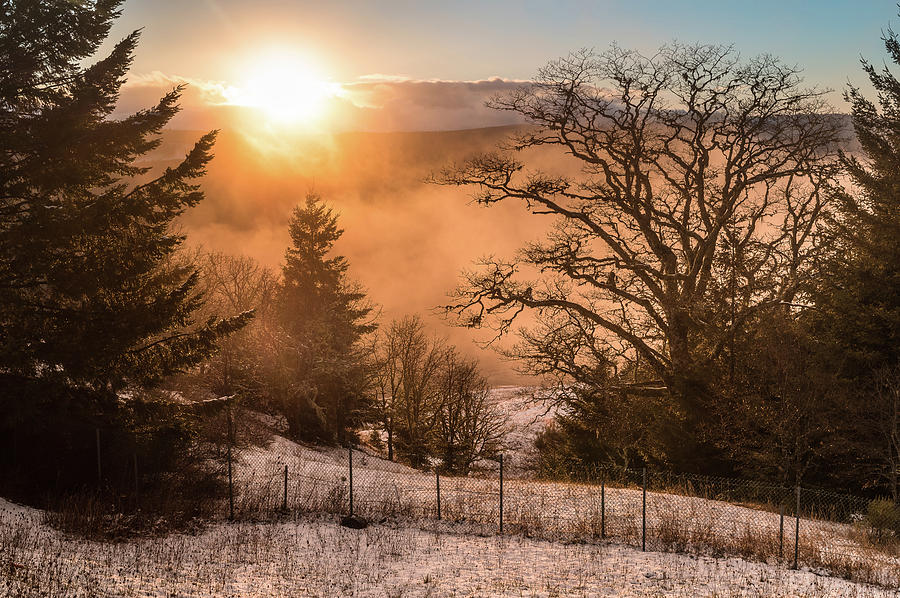 Sunset in the Snow Mists Photograph by Greg Nyquist
