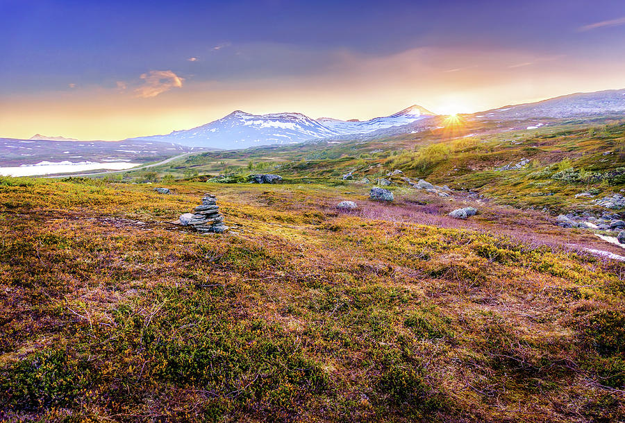 Sunset in tundra Photograph by Dmytro Korol
