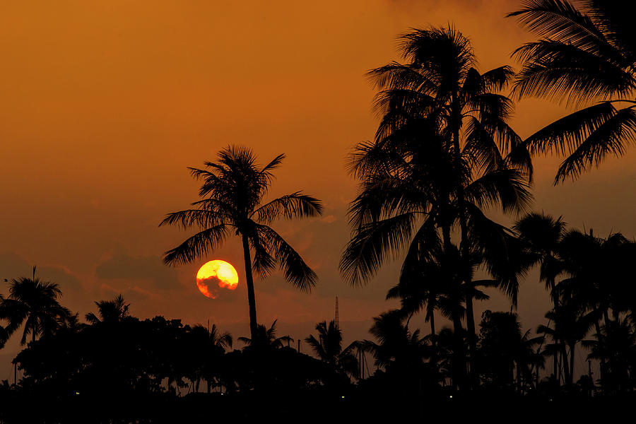 Sunset in Waikiki  Photograph by Jason Hughes