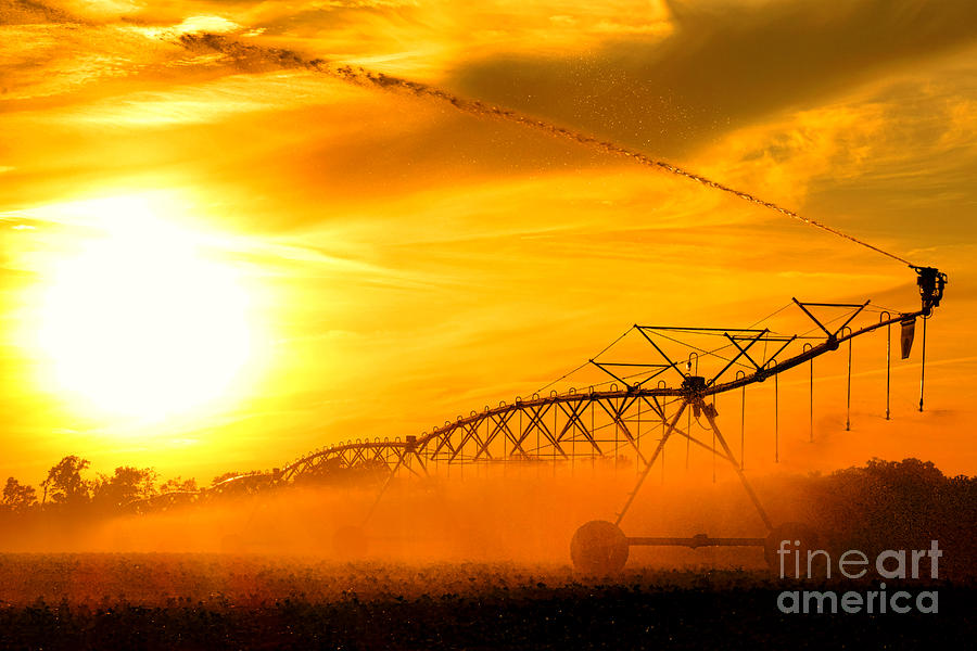 Sunset Photograph - Sunset Irrigation by Olivier Le Queinec
