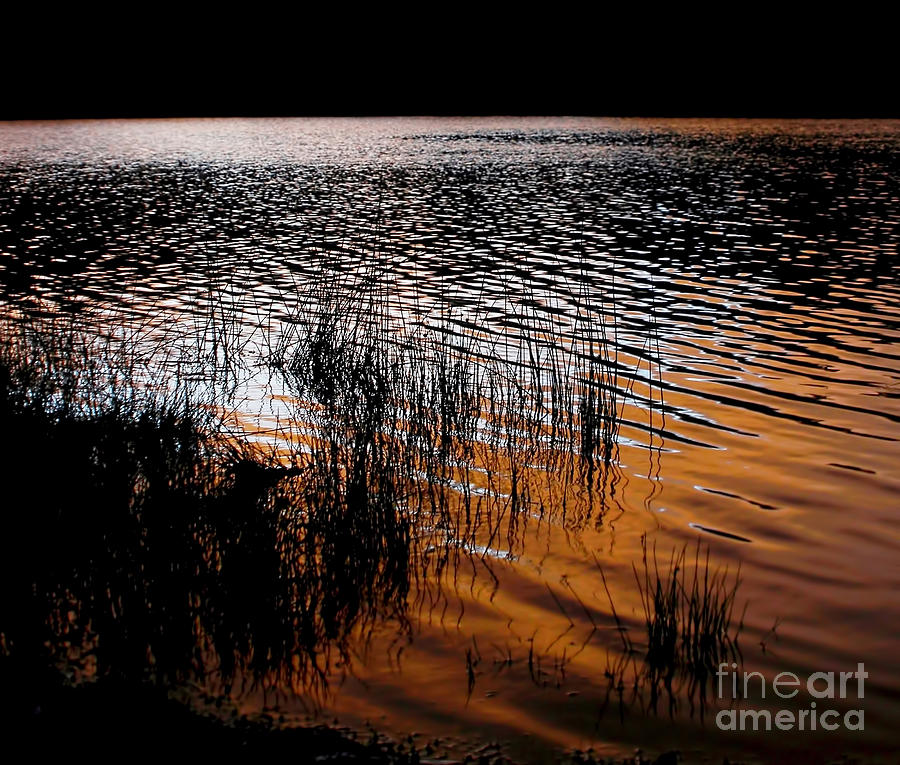 Sunset Lake Photograph by Kaye Menner