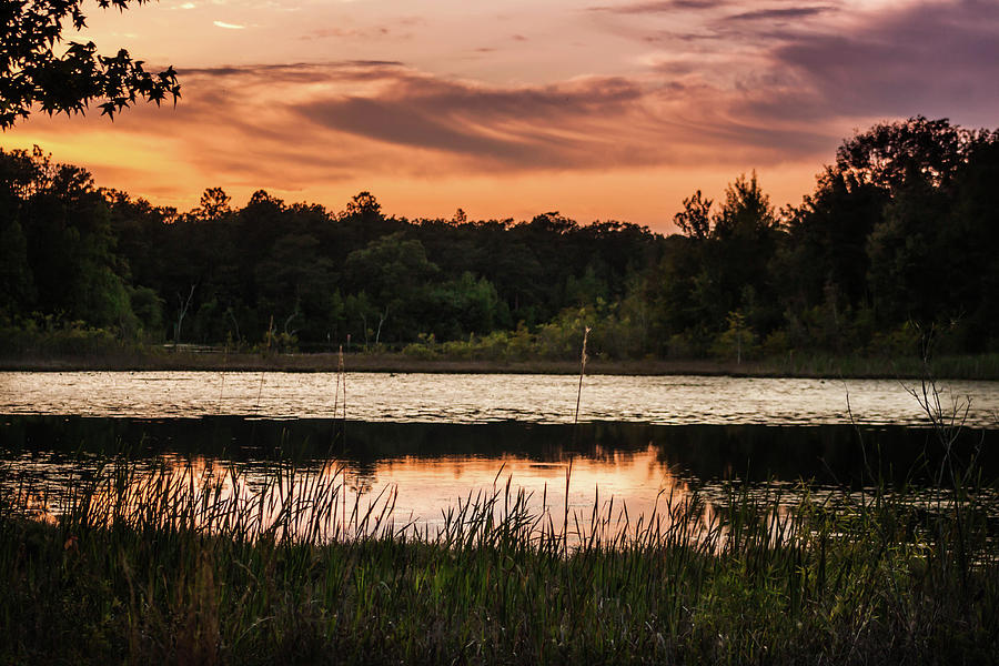 Sunset Lake Seminole Photograph