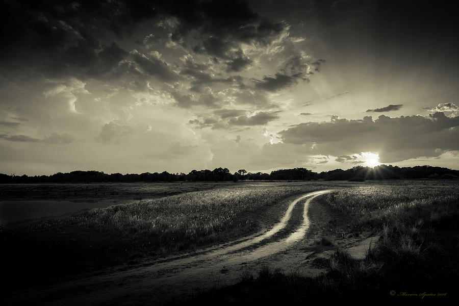 Sunset Photograph - Sunset Lane-bw by Marvin Spates