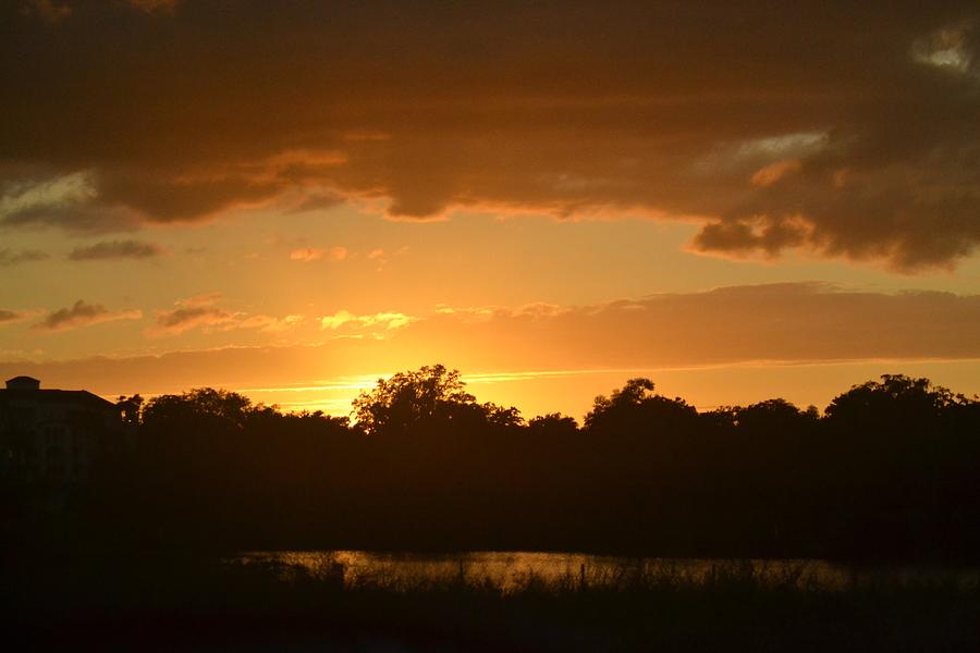 Sunset Photograph by Lee Jones