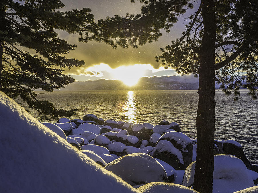 Sunset Light Lake Tahoe Photograph by Martin Gollery