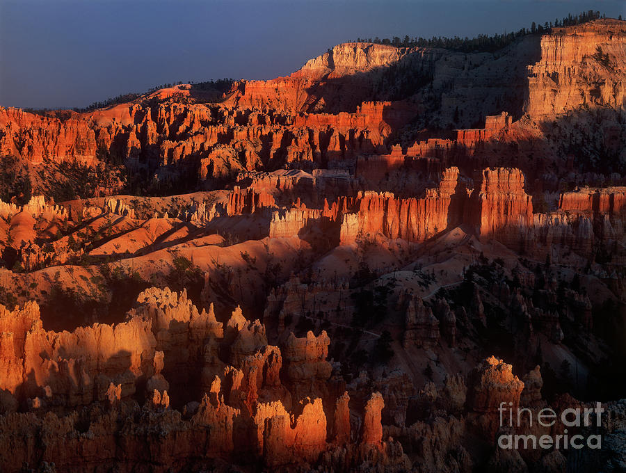 Sunset Light On Hoodoos Bryce Canyon National Park Utah Photograph by Dave Welling