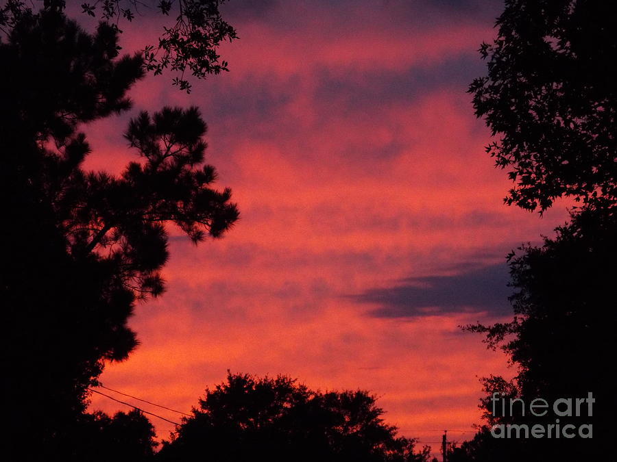 Sunset Photograph by Marc Watkins