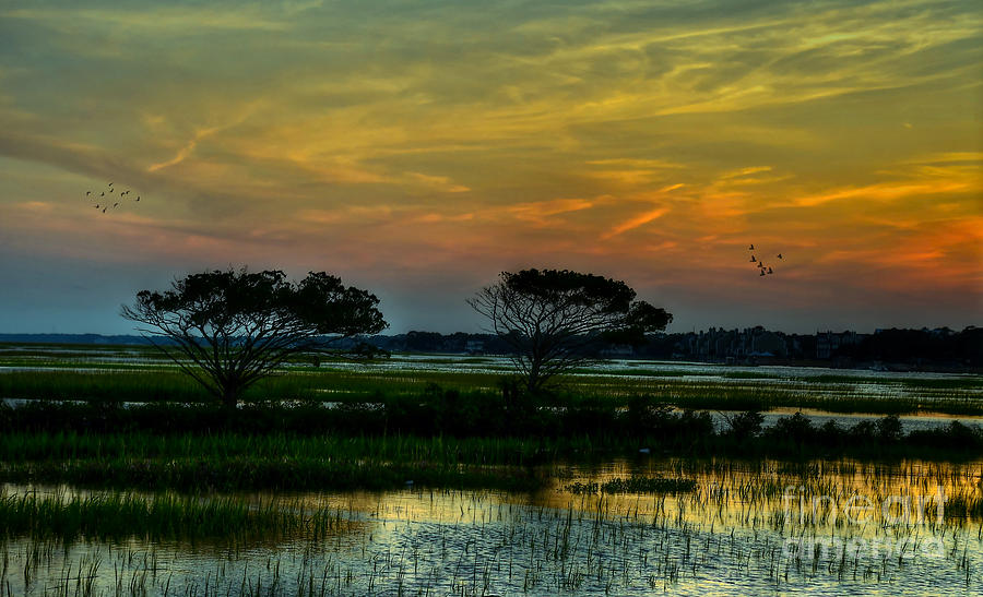 Sunset Marsh Photograph by Kathy Baccari
