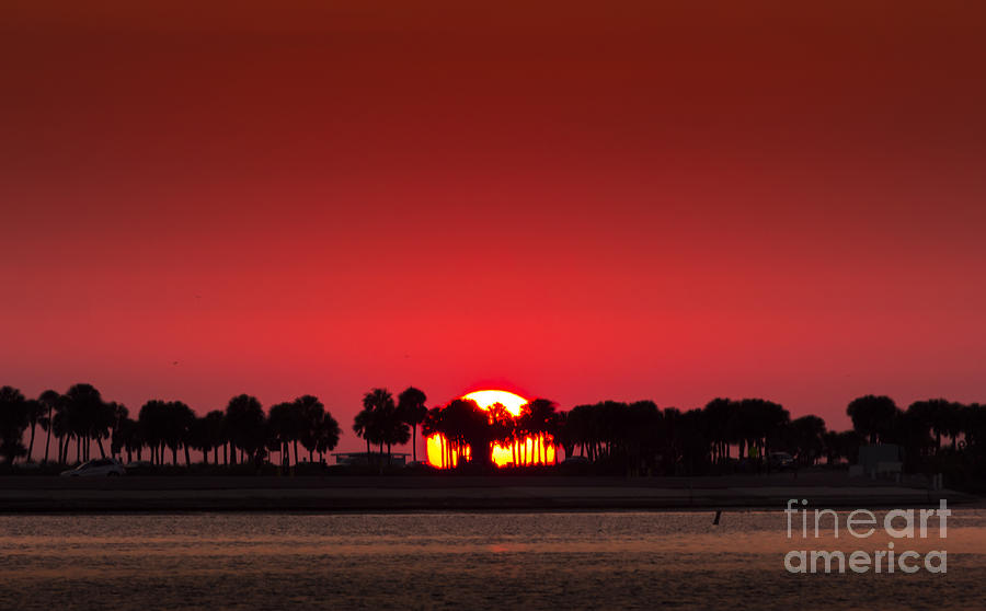 Tampa Photograph - Sunset by Marvin Spates