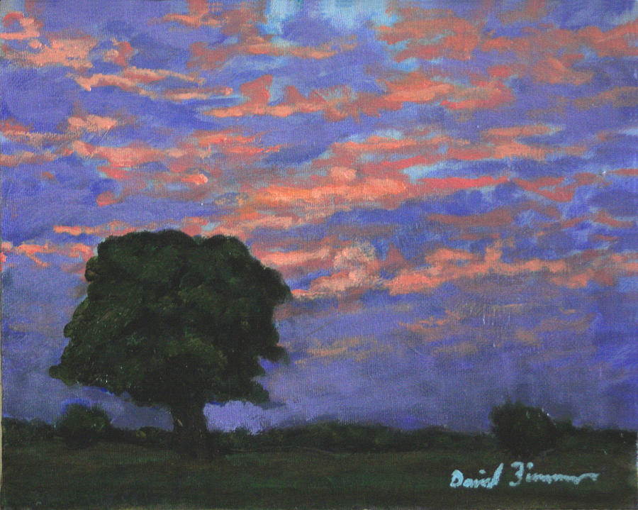 Sunset Meadow Painting by David Zimmerman