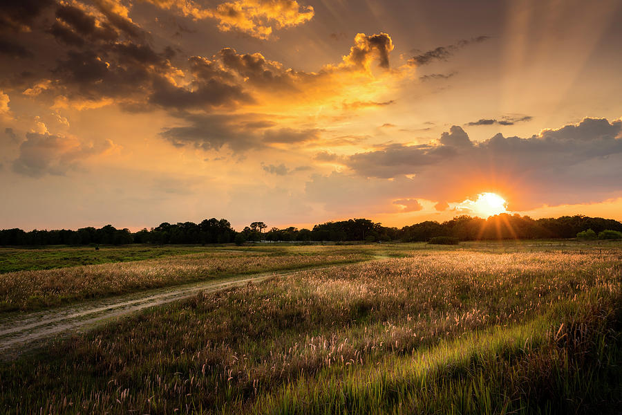 Sunset Meadow Photograph by Marvin Spates
