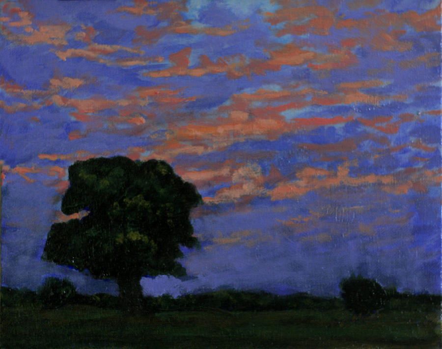 Sunset Meadows Painting by David Zimmerman