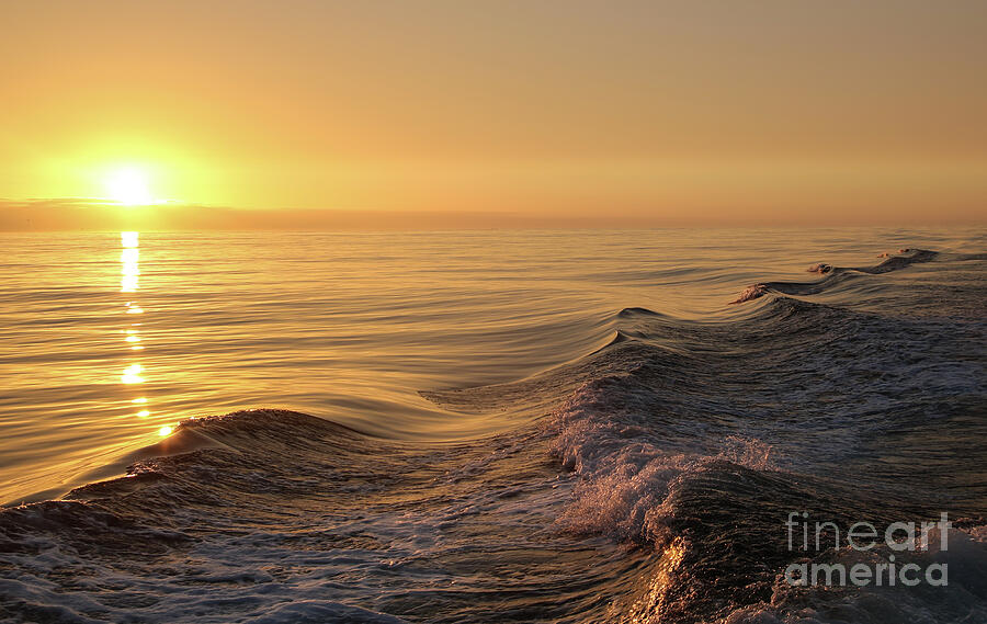 Sunset Photograph - Sunset Meets Wake by Suzanne Luft