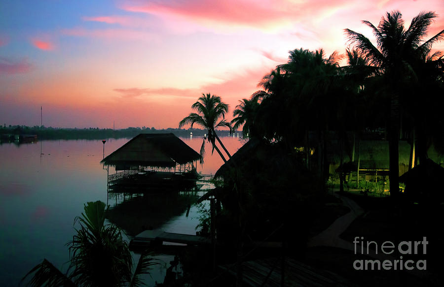 Sunset Mekong Delta Palm Trees  Photograph by Chuck Kuhn
