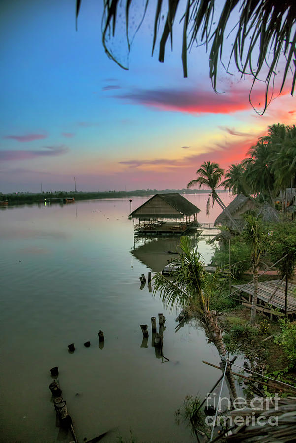 Sunset Mekong Delta Palm Trees II  Photograph by Chuck Kuhn